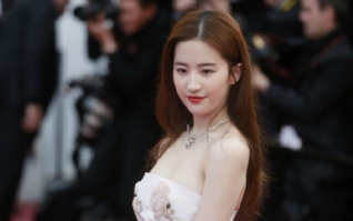 刘亦菲女神戛纳电影节壁纸