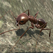 蚂蚁模拟3D无限生命版