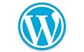 WordPressİ  v5.6