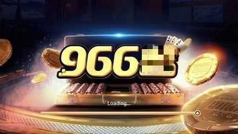 966ƹ1