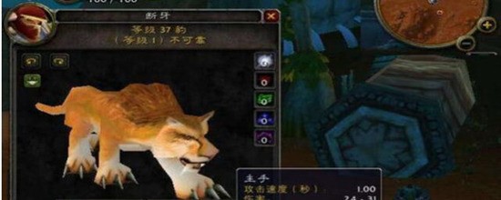 魔兽世界60猎人必带3只宝宝是什么 怀旧服60猎人必带3只宝宝攻略