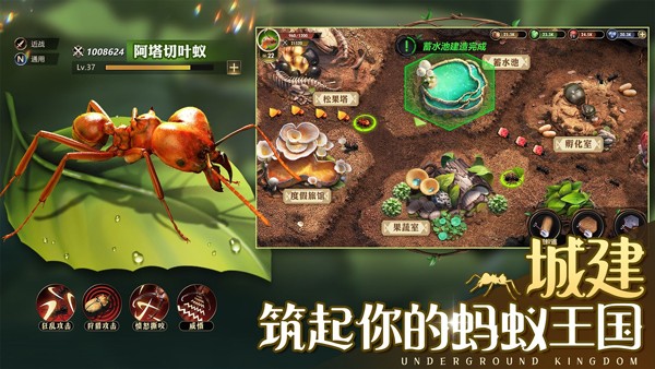小小蚁国一亿钻石兑换码 小小蚁国兑换码2023汇总最新大全一览