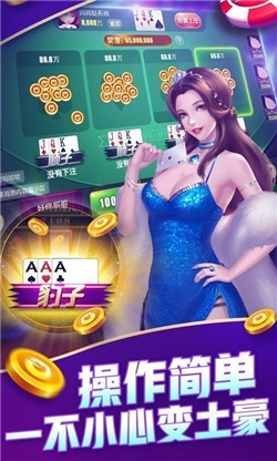 291 (3)