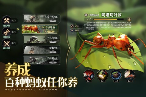 小小蚁国官方礼包码合集 小小蚁国兑换码领取