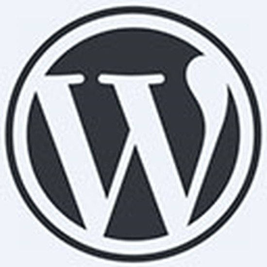 WordPress  v6.3.2