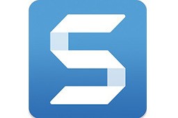 snagitѰ  V1.2.65