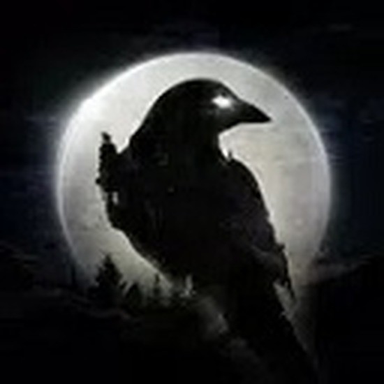 night crows