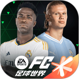 fifa  v24.9.08