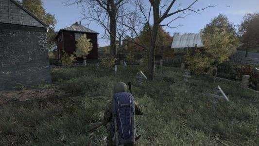 dayzֻ