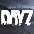 dayzֻ