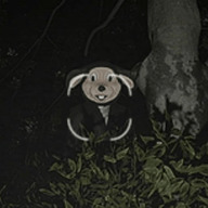 Ϸ