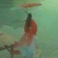 《寻道大千》后期最强应龙培养策略 《寻道大千》后期应龙玩法攻略
