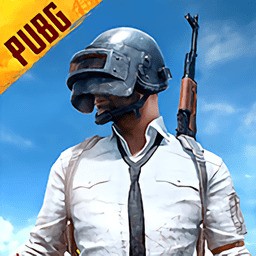 pubg体验服下载安装