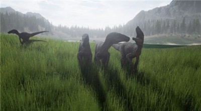 ɱذװ