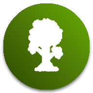 泰拉瑞亚灾厄模组 v1.4.0