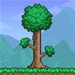 terraria灾厄手机版下载 v1.4.0