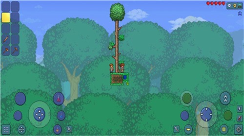 terrariaֶֻ