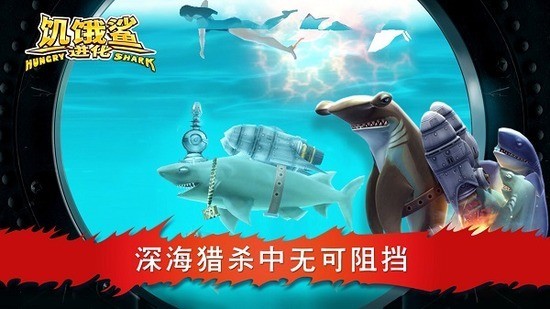 2025ƽ޽ʯ