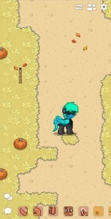 ponytownֻС