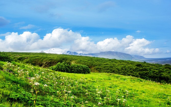 蓝天白云草地电脑桌面风景